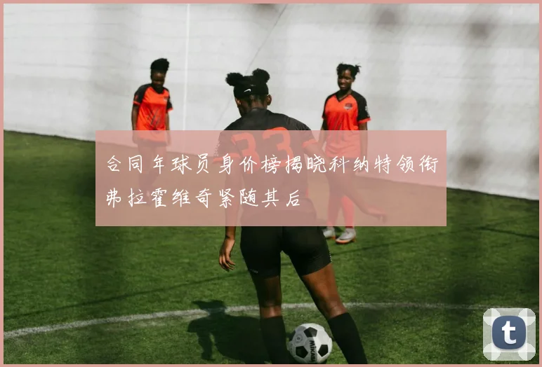 合同年球员身价榜揭晓科纳特领衔弗拉霍维奇紧随其后