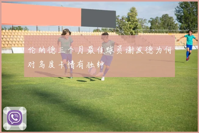 伦纳德三个月最佳球员谢泼德为何对乌度卡情有独钟