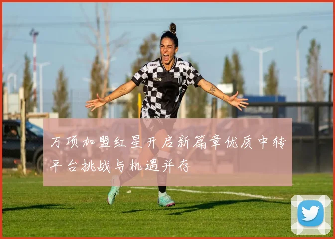 万项加盟红星开启新篇章优质中转平台挑战与机遇并存