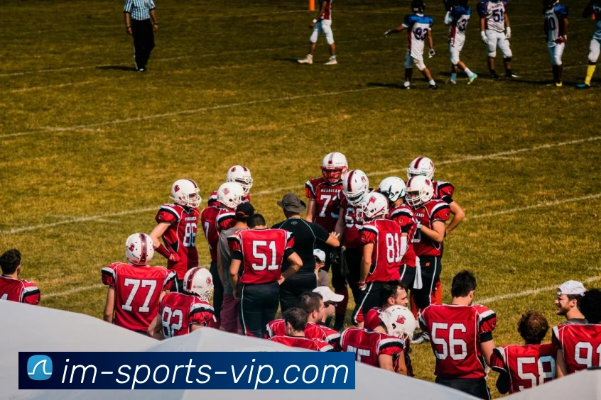 IM体育APP 封面图